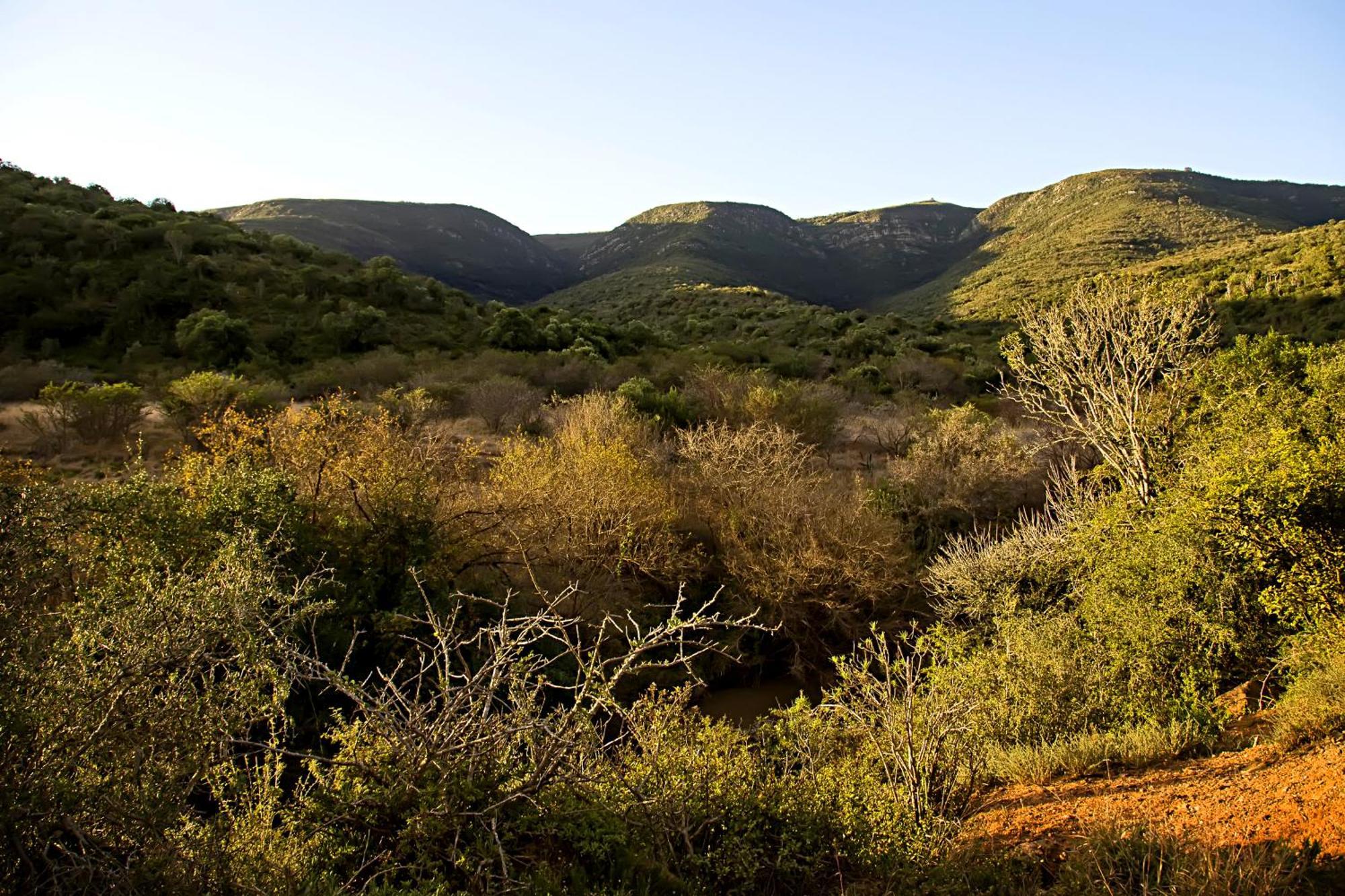 Addo Bush Palace Exterior foto